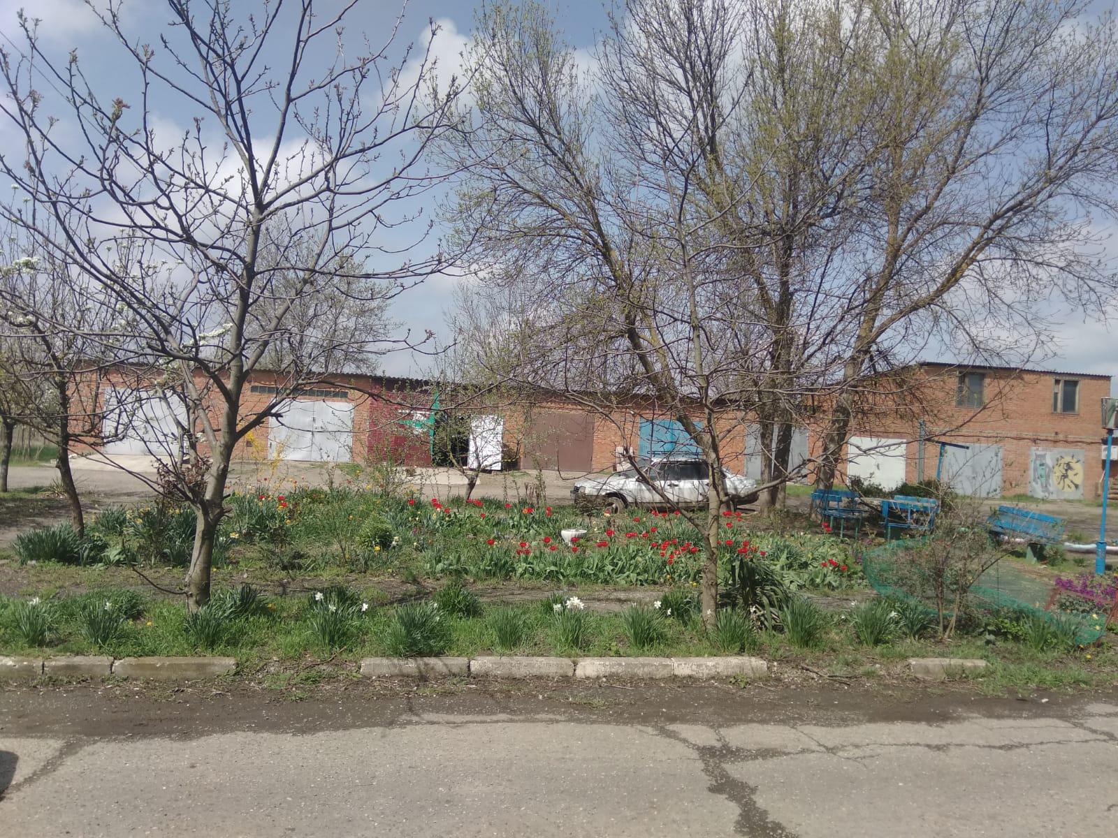 Изображение 13
